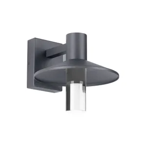 Ash 10 In. LED Hi-Output Outdoor Wall Sconce 529 Lumens 3000K Surge Protection Gray Finish Clear Cylinder