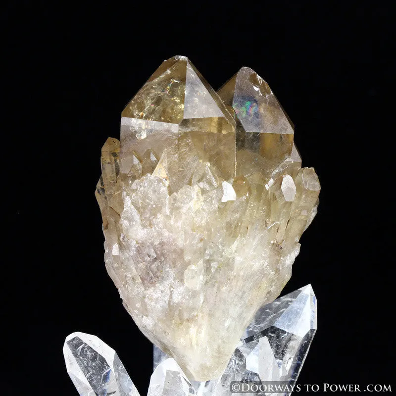 Rare 3" Natural Citrine Lightbrary Kundalini Quartz Dow Crystal Cluster