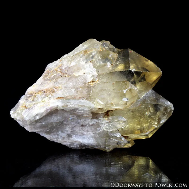 Rare 3" Natural Citrine Lightbrary Kundalini Quartz Dow Crystal Cluster