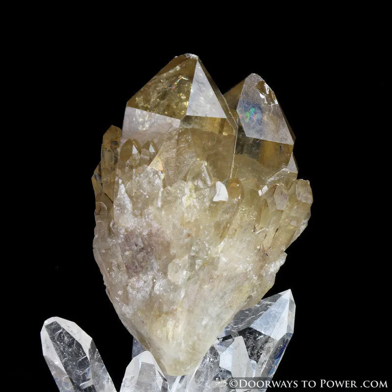 Rare 3" Natural Citrine Lightbrary Kundalini Quartz Dow Crystal Cluster