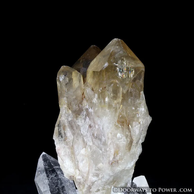 Rare 3" Natural Citrine Lightbrary Kundalini Quartz Dow Crystal Cluster