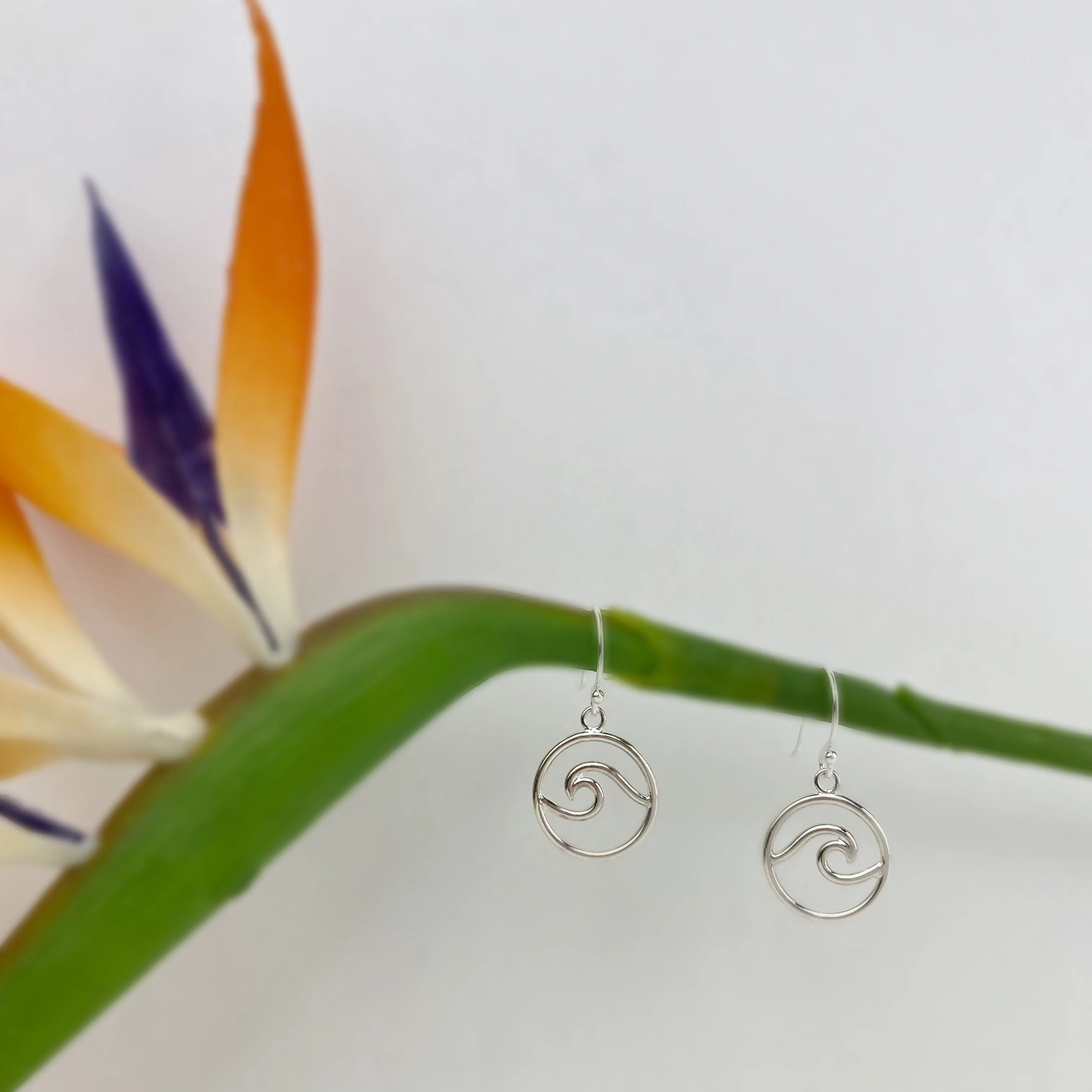 Waverider Earrings - VE528