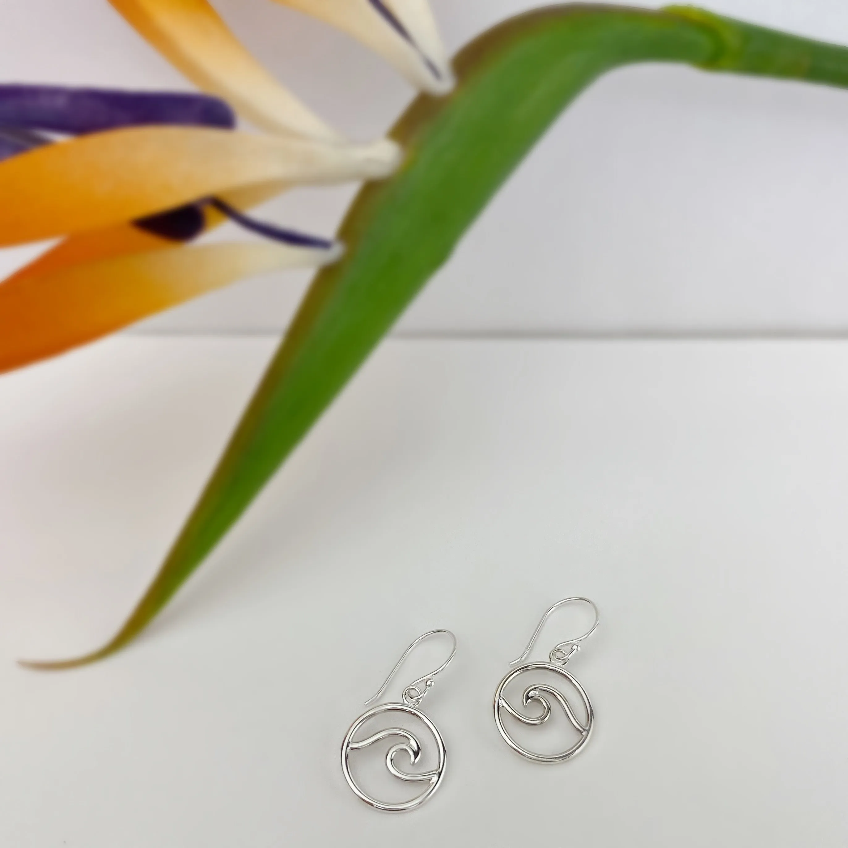 Waverider Earrings - VE528