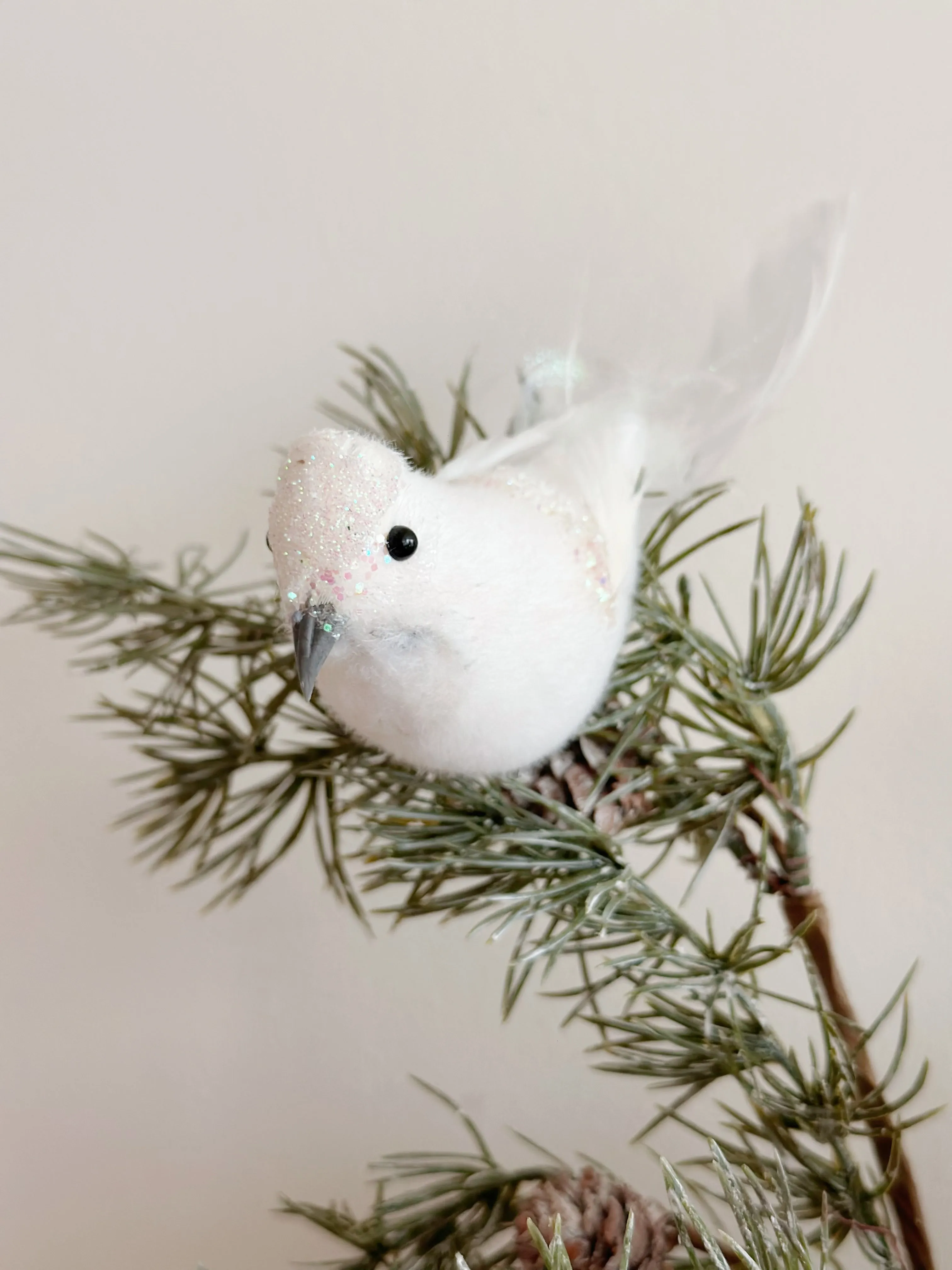 WinterWhimsy Winged Wonders